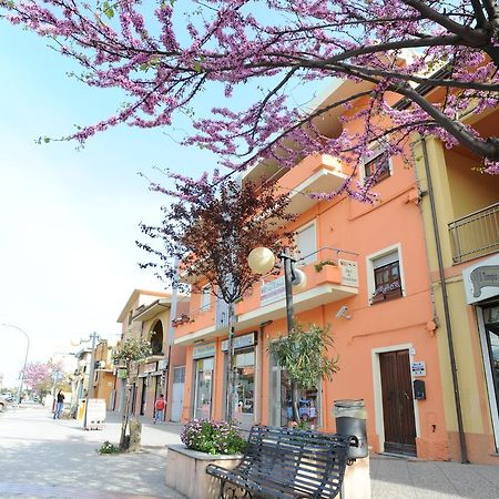 Il Leccio Bed & Breakfast ตอร์โตลี ภายนอก รูปภาพ