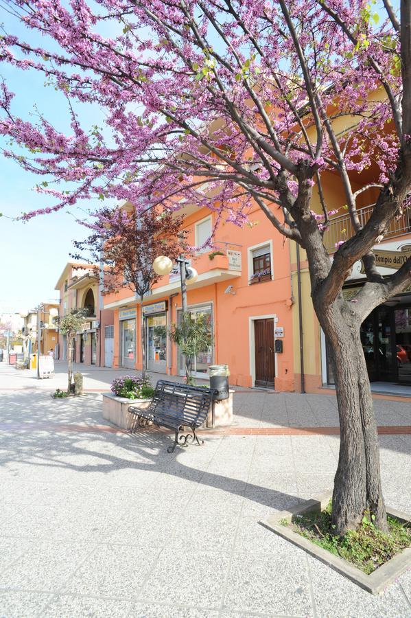 Il Leccio Bed & Breakfast ตอร์โตลี ภายนอก รูปภาพ